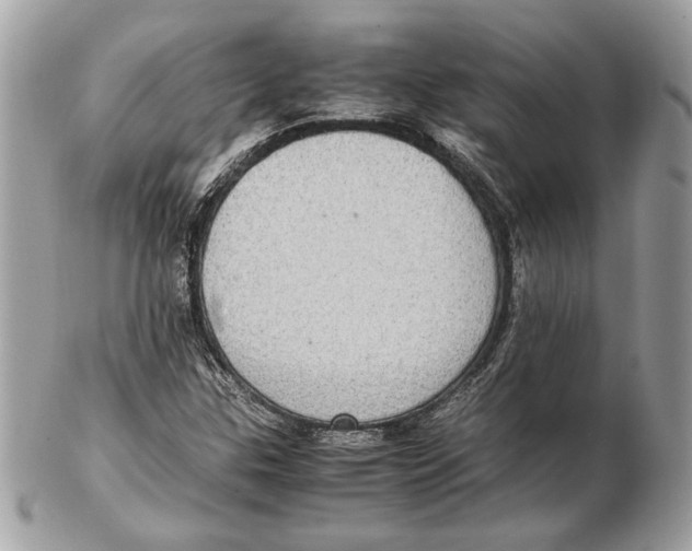 X0000102381307200808291352