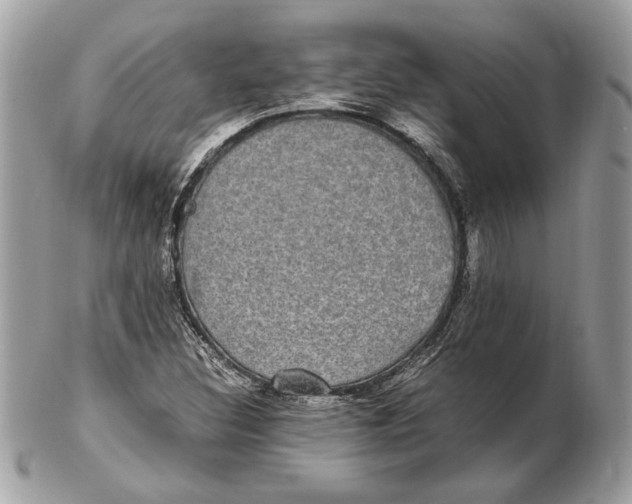 X0000102381308200808291352