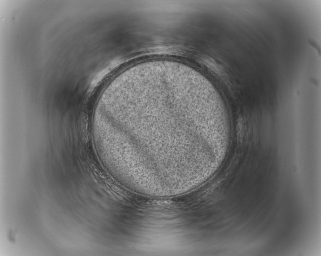 X0000102381310200808291352