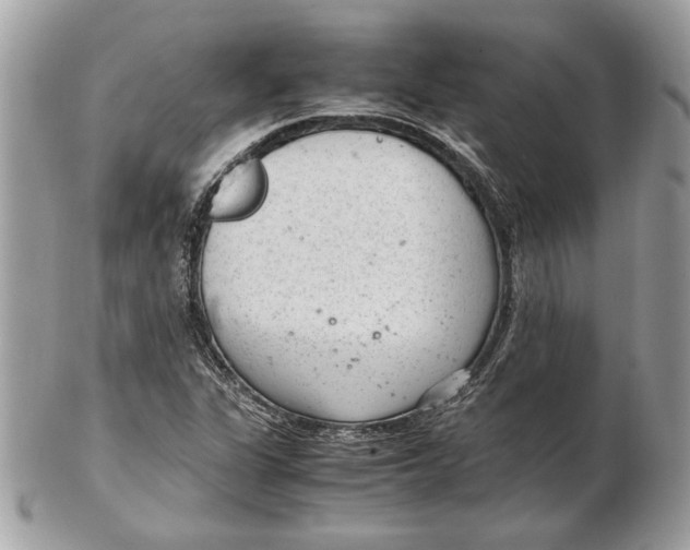 X0000102381311200808291352