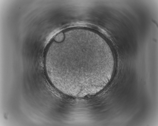 X0000102381312200808291352