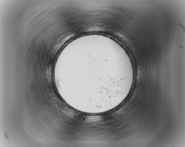 X0000102381313200808291352