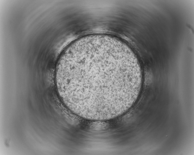 X0000102381314200808291352