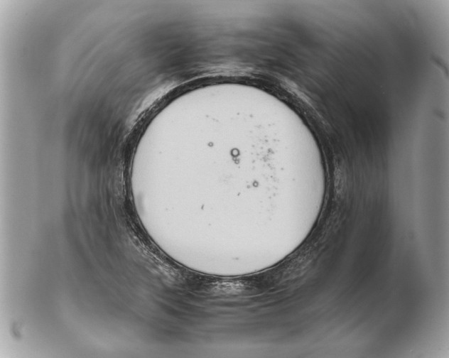 X0000102381315200808291352