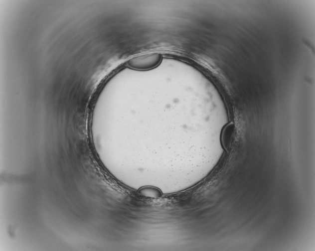 X0000102381316200808291352