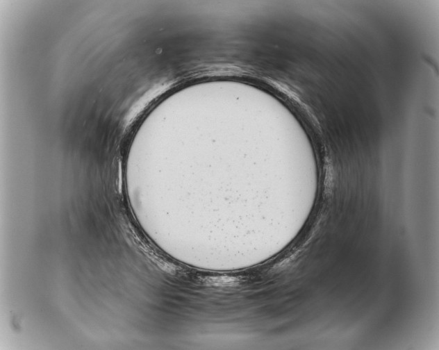 X0000102381317200808291352