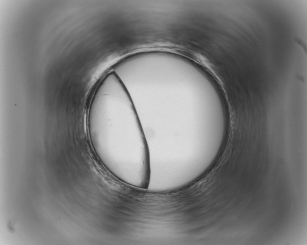 X0000102381320200808291352