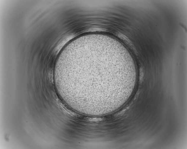 X0000102381321200808291352