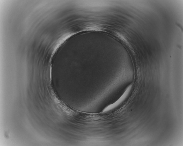 X0000102381323200808291352