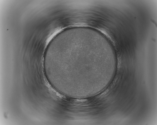 X0000102381325200808291352