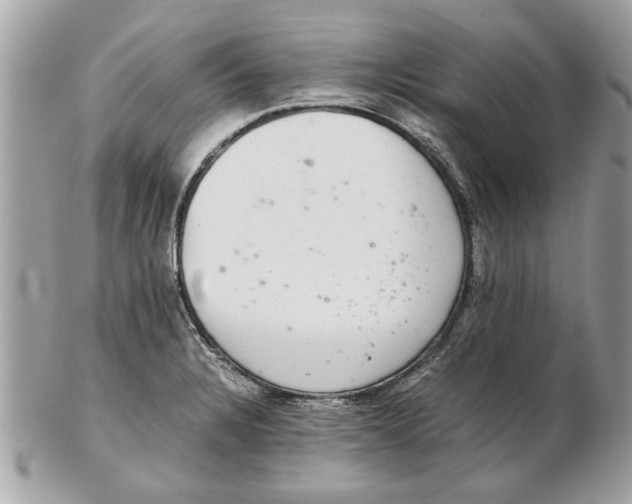 X0000102381328200808291353