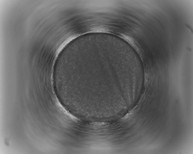 X0000102381331200808291353