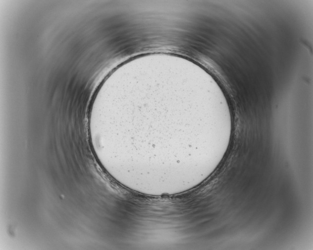 X0000102381332200808291353