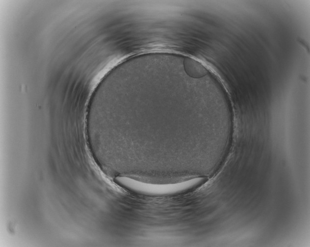 X0000102381333200808291353