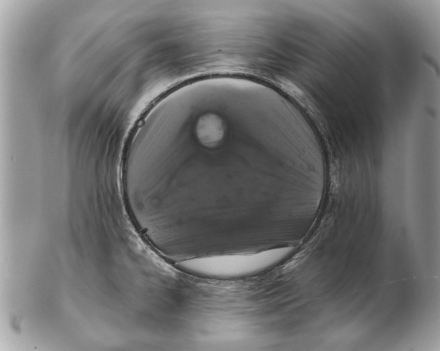 X0000102381334200808291353