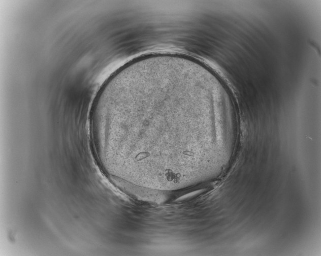 X0000102381335200808291353