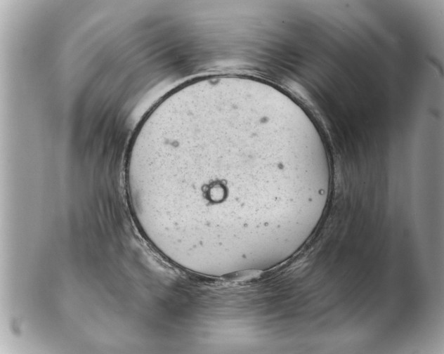 X0000102381336200808291353