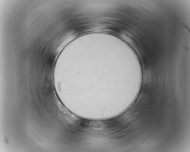 X0000102381338200808291353