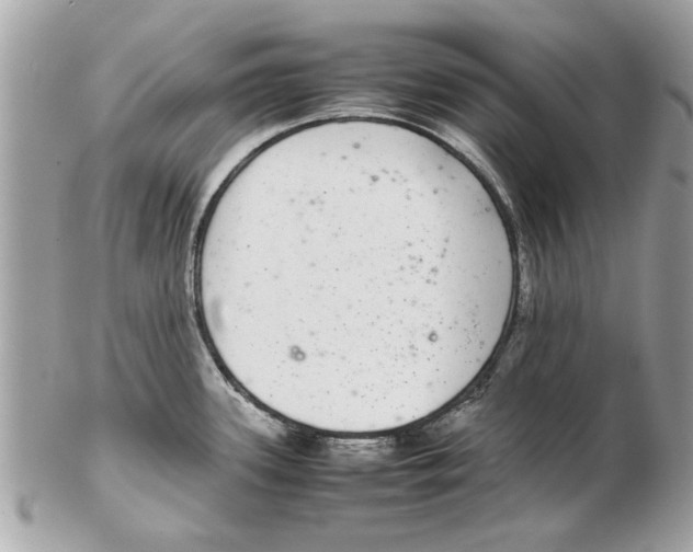 X0000102381339200808291353