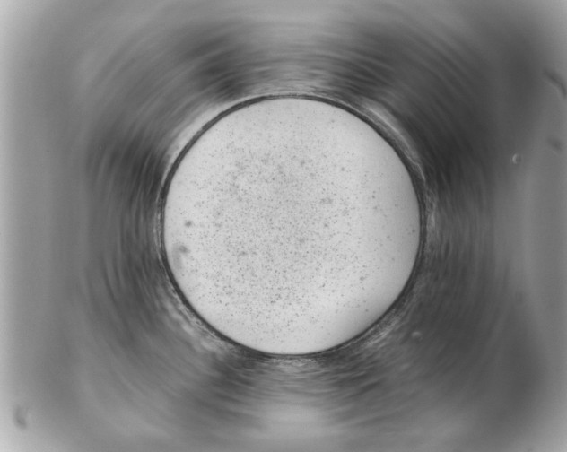 X0000102381340200808291353