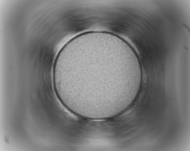 X0000102381343200808291353