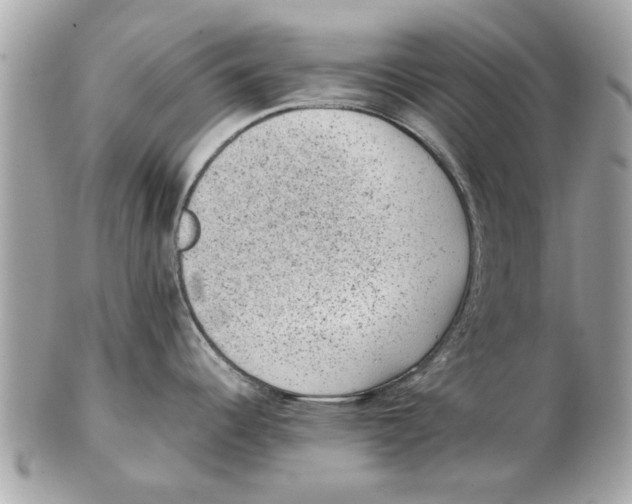 X0000102381344200808291353