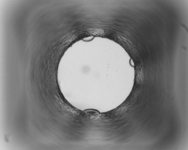 X0000102381345200808291352