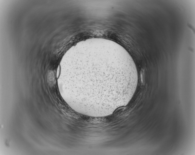 X0000102381347200808291352