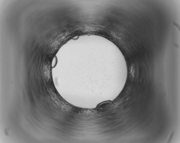 X0000102381348200808291352