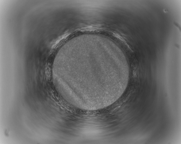 X0000102381350200808291352