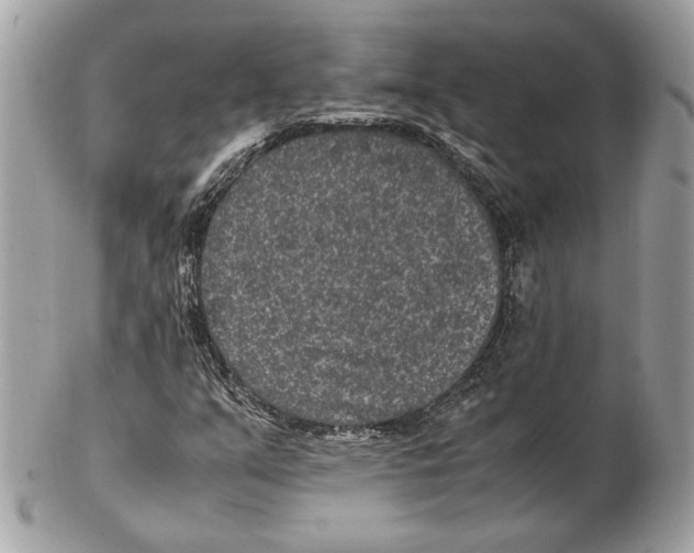 X0000102381351200808291352