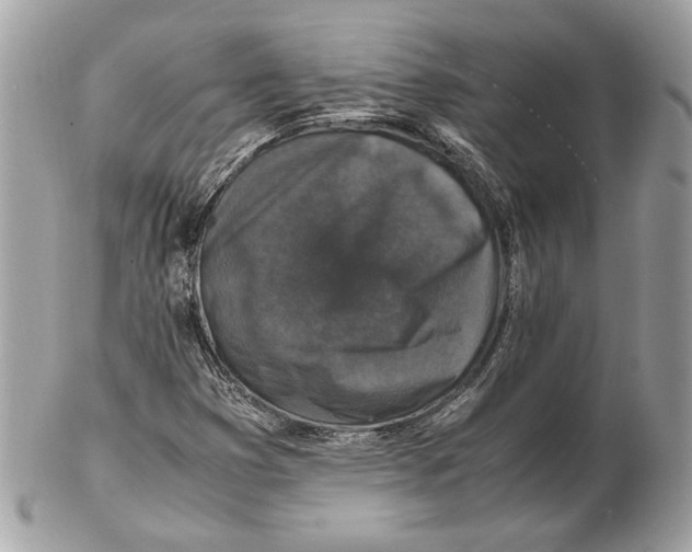 X0000102381353200808291352