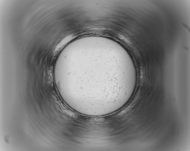 X0000102381354200808291352