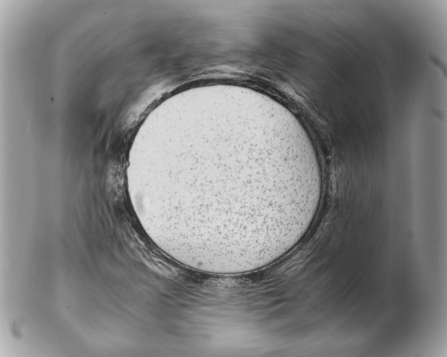 X0000102381355200808291352