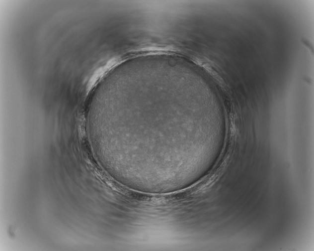 X0000102381357200808291352