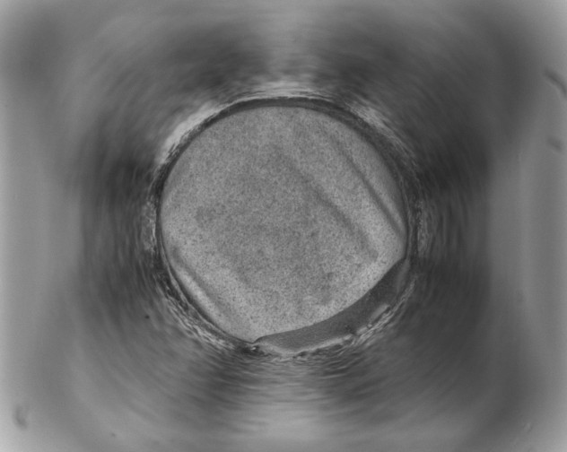 X0000102381358200808291352