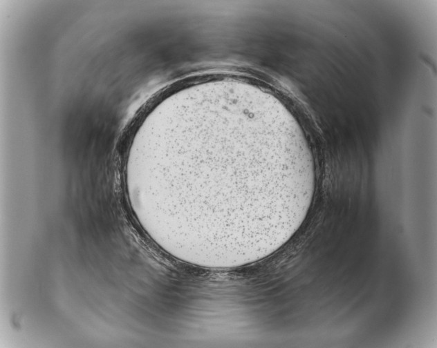 X0000102381360200808291352