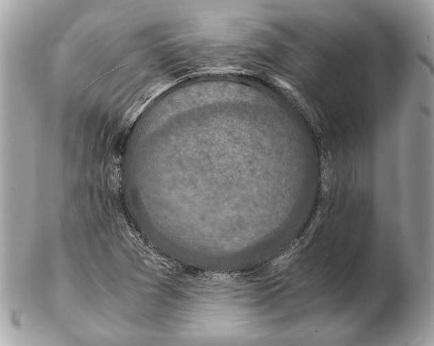 X0000102381361200808291352