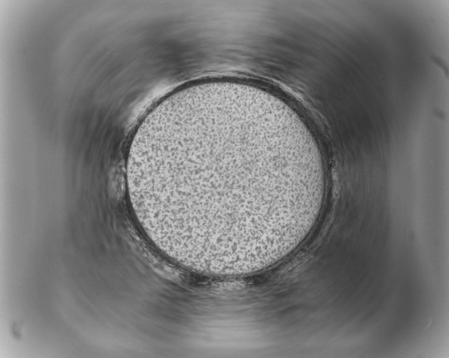 X0000102381363200808291352