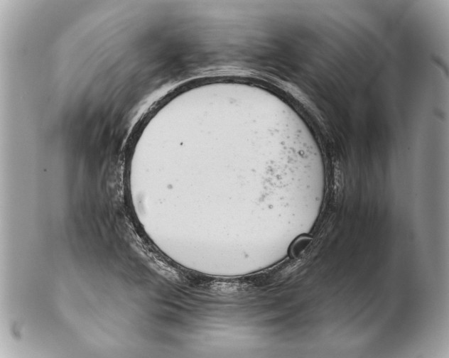 X0000102381364200808291352