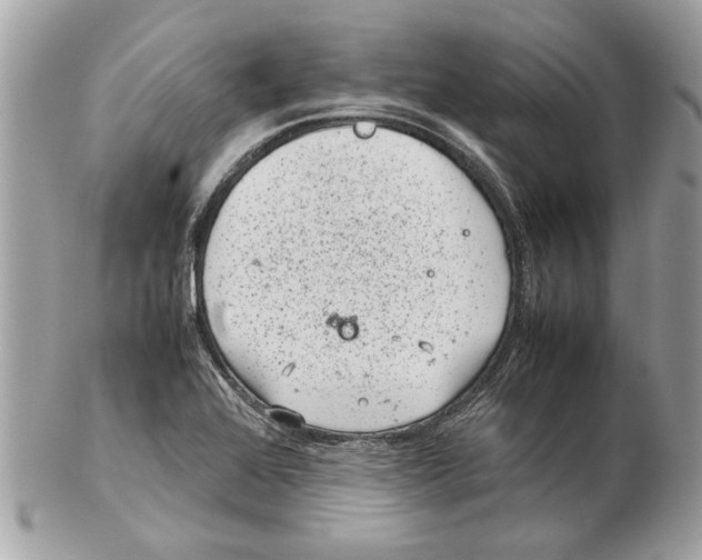 X0000102381368200808291352