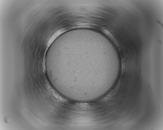 X0000102381370200808291352