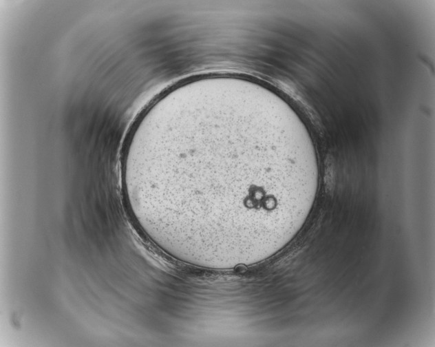 X0000102381372200808291352