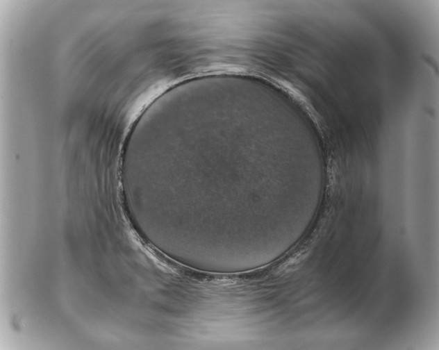 X0000102381373200808291352