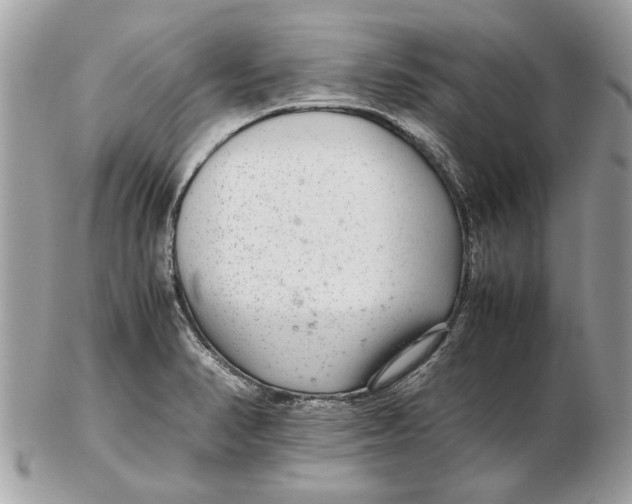 X0000102381374200808291352