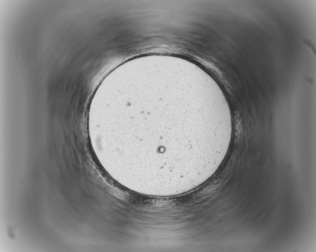 X0000102381375200808291352