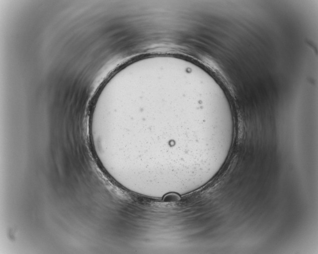 X0000102381376200808291352