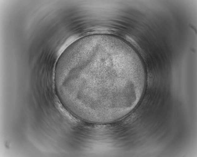 X0000102381378200808291352