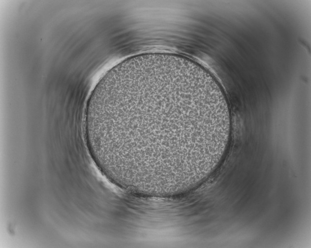 X0000102381379200808291352