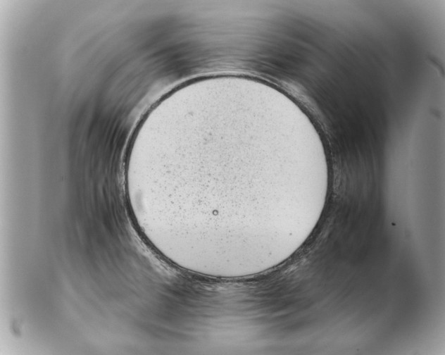 X0000102381380200808291351